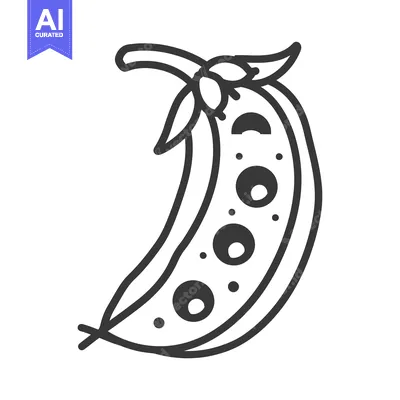 Aset premium populer: Line Drawing of a Pea Pod with Five Peas Inside