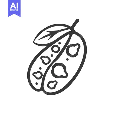 Premium design asset: Line Drawing of a Pea Pod with Seeds