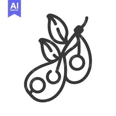 Aset premium populer: Line drawing of a pea pod with three peas and a leaf