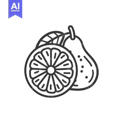 Aset desain premium: Line Drawing of a Pear and a Sliced Citrus Fruit