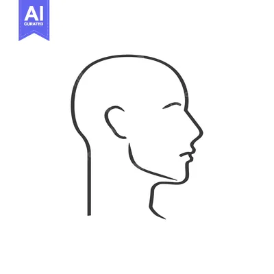 Aset premium populer: Line drawing of a person's head in profile