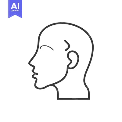 Popular premium asset: Line Drawing of a Person's Head in Profile
