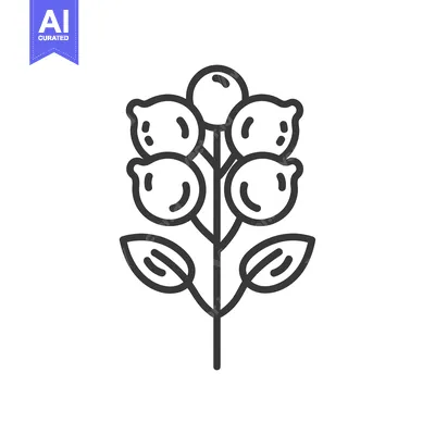 Aset premium populer: Line drawing of a plant with five round fruits and two leaves