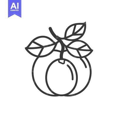 Aset premium populer: Line Drawing of a Plum with Stem and Leaves