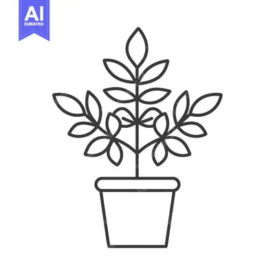 Popular premium asset: Line drawing of a potted plant with leaves