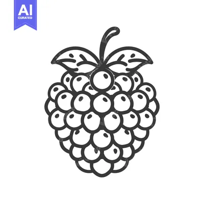 Aset premium populer: Line Drawing of a Raspberry with Leaves