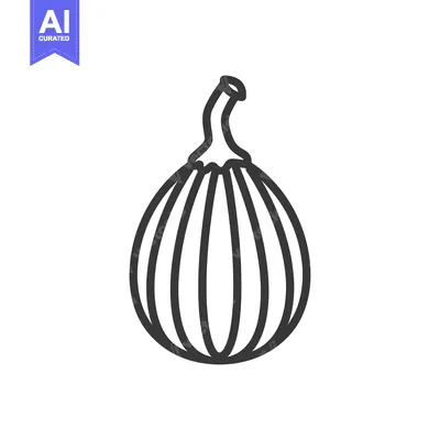 Popular premium asset: Line Drawing of a Round, Striped Fruit with a Stem