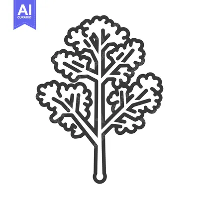 Popular premium asset: Line Drawing of a Single Branch with Leaves