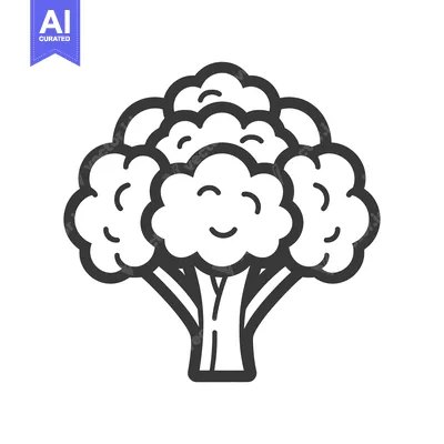 Popular premium asset: Line Drawing of a Single Broccoli Floret