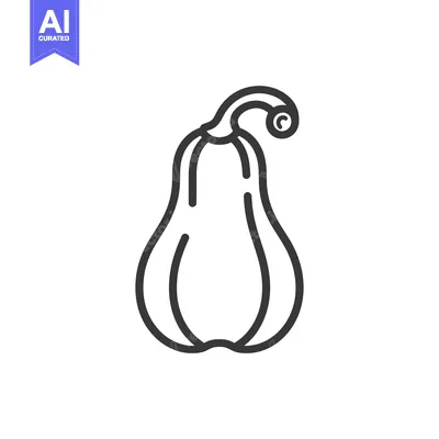 Aset premium populer: Line Drawing of a Single Butternut Squash
