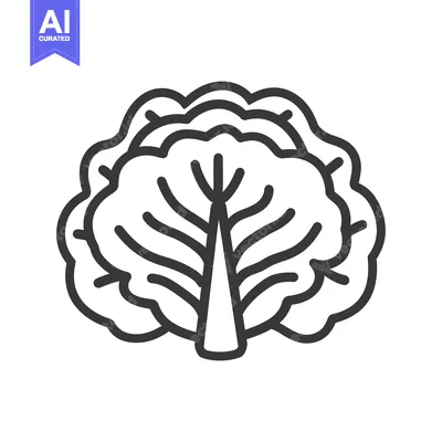 Premium design asset: Line drawing of a single cabbage with a white background