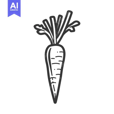 Premium design asset: Line Drawing of a Single Carrot with Green Top