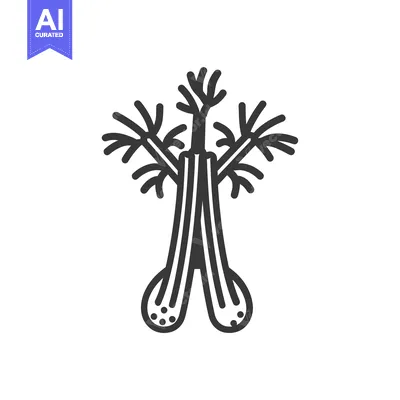 Popular premium asset: Line Drawing of a Single Celery Stalk