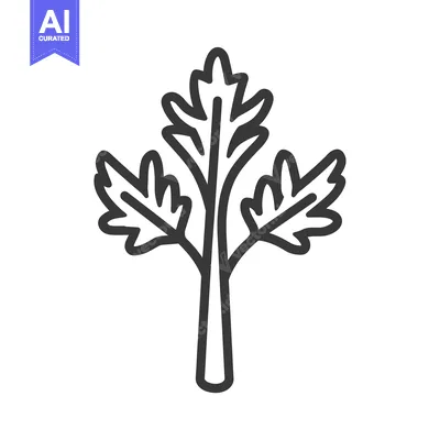 Popular premium asset: Line Drawing of a Single Celery Stalk with Leaves
