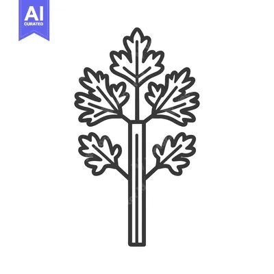 Popular premium asset: Line Drawing of a Single Celery Stalk with Leaves