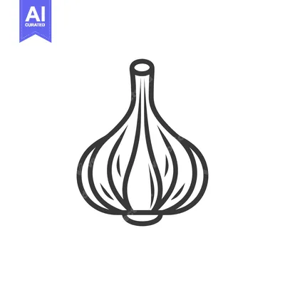 Line Drawing of a Single Garlic Bulb