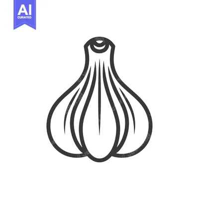 Line drawing of a single garlic bulb
