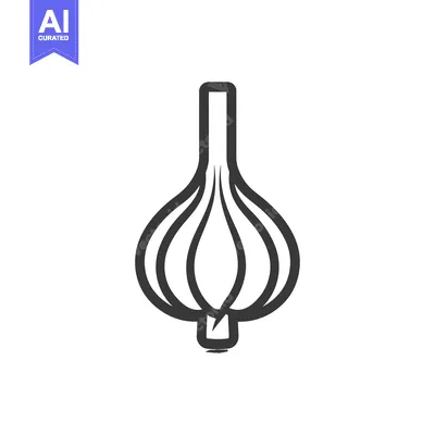 Aset premium populer: Line Drawing of a Single Garlic Bulb