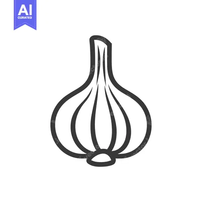 Line drawing of a single garlic bulb
