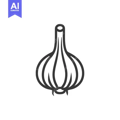 Aset premium populer: Line Drawing of a Single Garlic Bulb