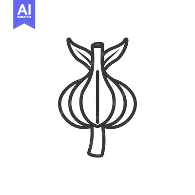 Line drawing of a single garlic bulb with leaves