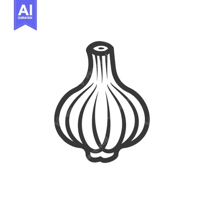Line drawing of a single garlic clove
