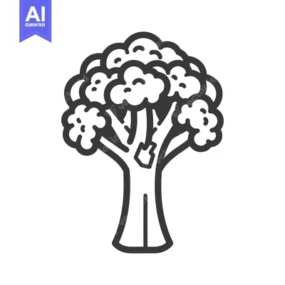 Aset premium populer: Line Drawing of a Single Head of Broccoli