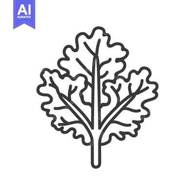 Premium design asset: Line Drawing of a Single Leaf of Kale