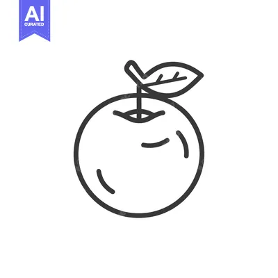 Premium design asset: Line Drawing of a Single Orange with a Leaf