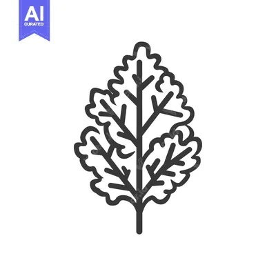 Aset premium populer: Line Drawing of a Single Parsley Leaf