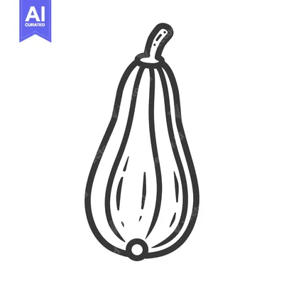 Popular premium asset: Line drawing of a single pear-shaped squash