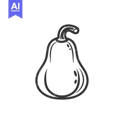 Premium design asset: Line Drawing of a Single, Pear-Shaped Squash