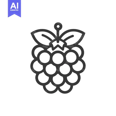 Aset premium populer: Line drawing of a single raspberry with leaves