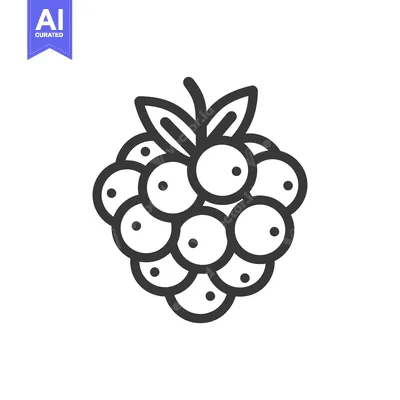 Popular premium asset: Line Drawing of a Single Raspberry with Leaves