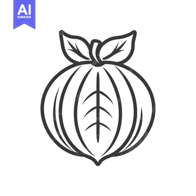 Aset desain premium: Line Drawing of a Single, Round Fruit with Leaves