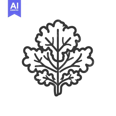 Aset desain premium: Line drawing of a single sprig of cilantro