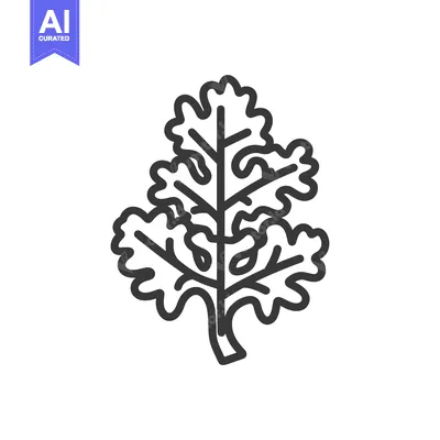 Aset premium populer: Line Drawing of a Single Sprig of Parsley