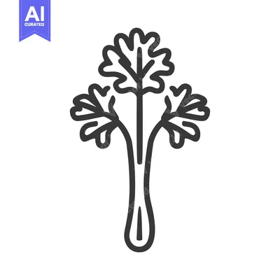 Premium design asset: Line drawing of a single stalk of celery