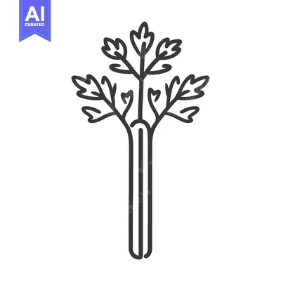 Line drawing of a single stalk of celery with leaves
