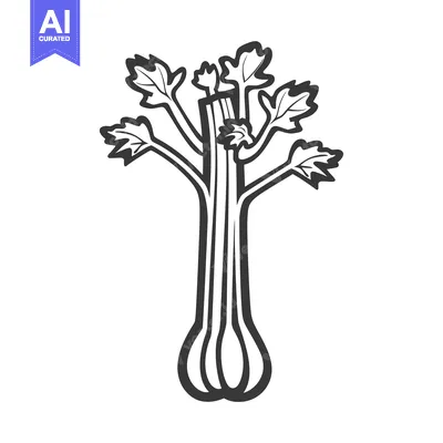 Line drawing of a single stalk of celery with leaves