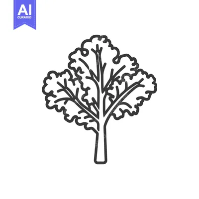 Line drawing of a single stalk of kale