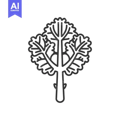 Line drawing of a single stalk of kale with leaves