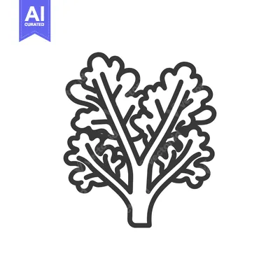 Aset premium populer: Line Drawing of a Single Stem of Parsley