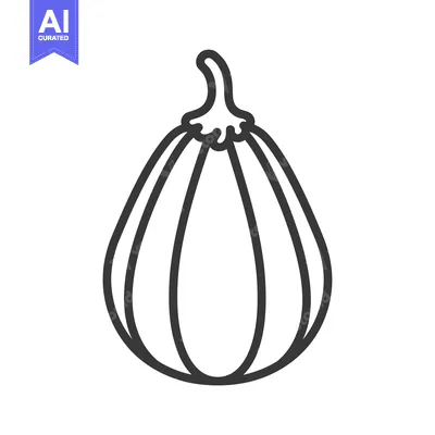 Aset premium populer: Line drawing of a single, whole, smooth-skinned squash
