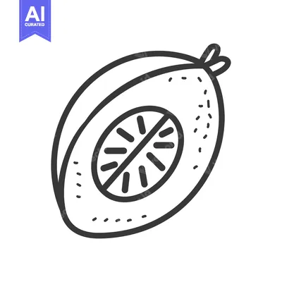 Aset desain premium: Line Drawing of a Sliced Kiwi with a Seed Removed