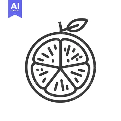Aset desain premium: Line Drawing of a Sliced Orange with a Leaf