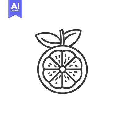 Aset desain premium: Line Drawing of a Sliced Orange with Leaves