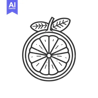 Line Drawing of a Sliced Orange with Leaves