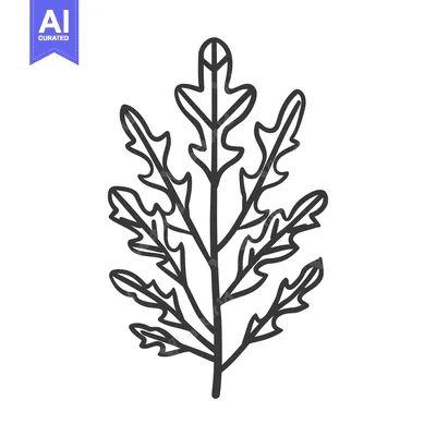 Popular premium asset: Line Drawing of a Sprig of Arugula