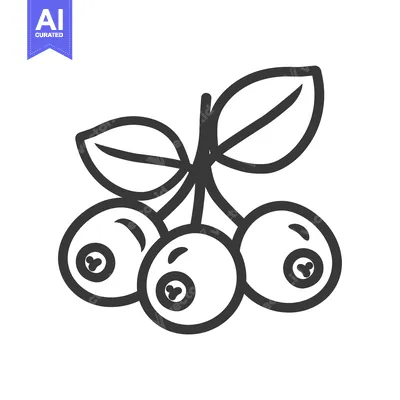 Popular premium asset: Line Drawing of a Sprig of Blueberries